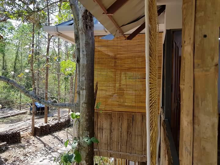 Ponmudi Valley Resorts Exteriör bild