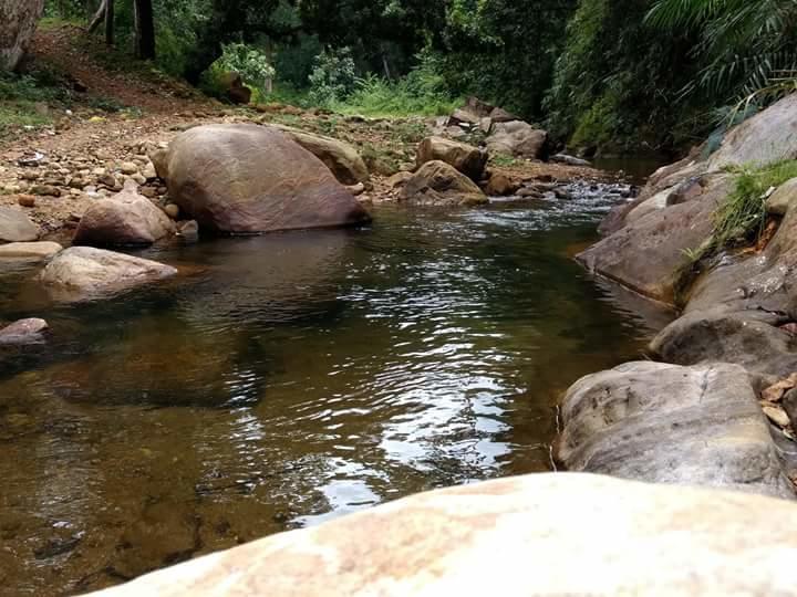 Ponmudi Valley Resorts Exteriör bild