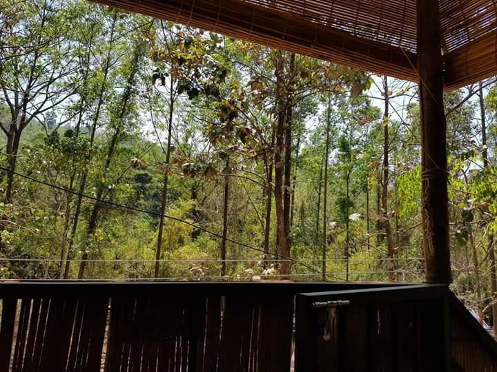 Ponmudi Valley Resorts Exteriör bild